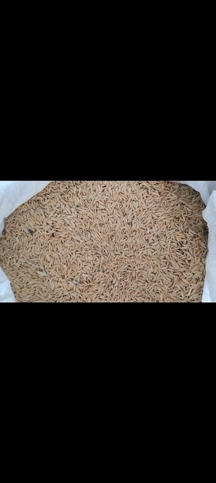 Салы сатылады...