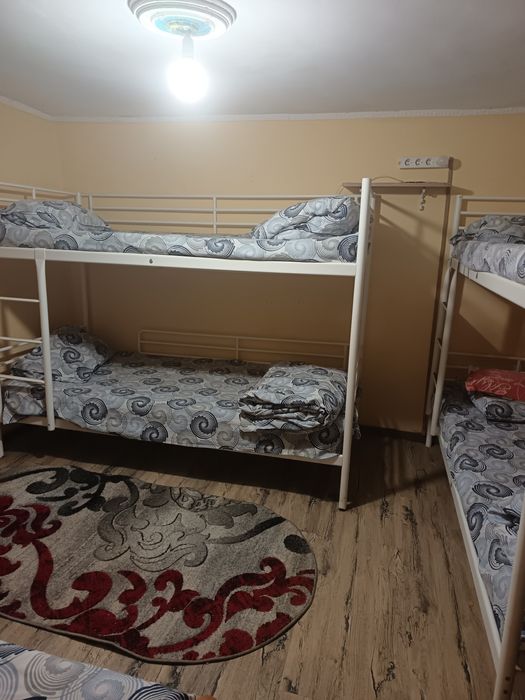 Cazare Muncitor Sos Chitilei reper (Mol Colosseum)