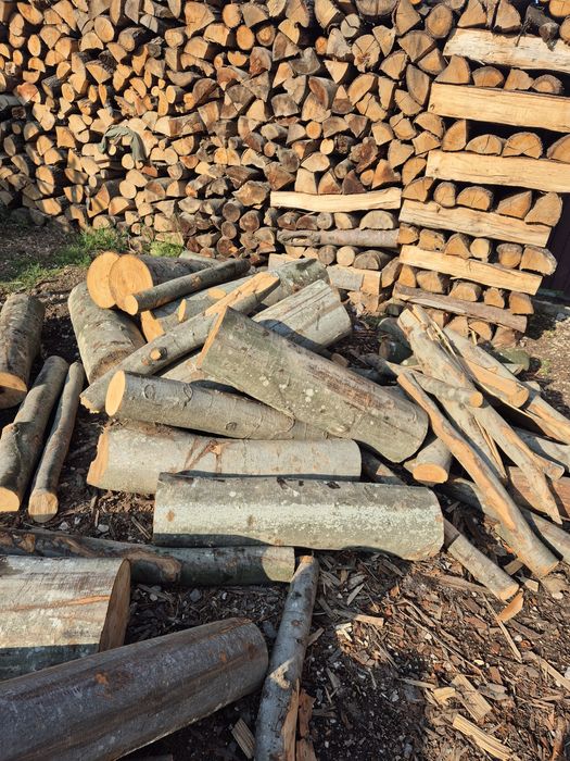 Lemne pentru foc esențe tari