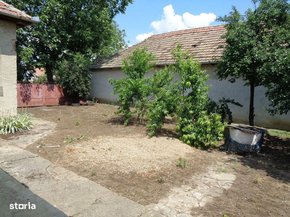 Casa 3 cam, baie, in CURTICI 748 mp teren fs 18,5 ml