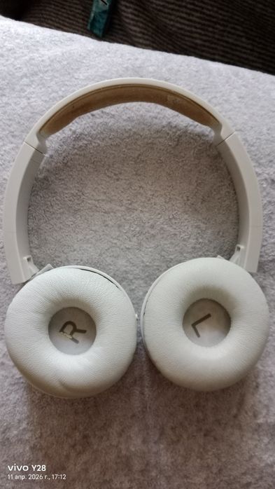 Калонка науошник