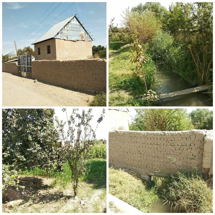 Surxandaryo viloyati Termez tumani 40yillikda u