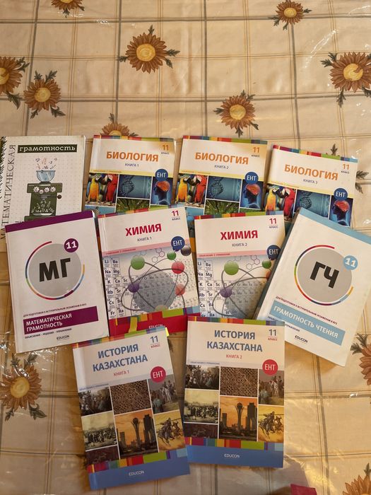 Книги достык подготовка к ЕНТ