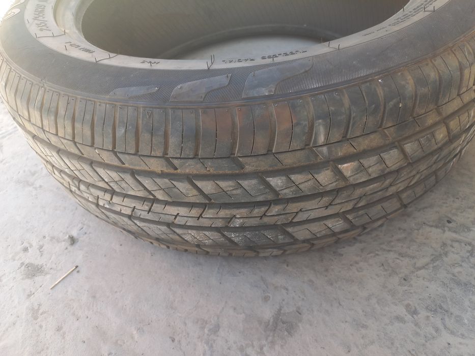 Balon shina R19 2 dona