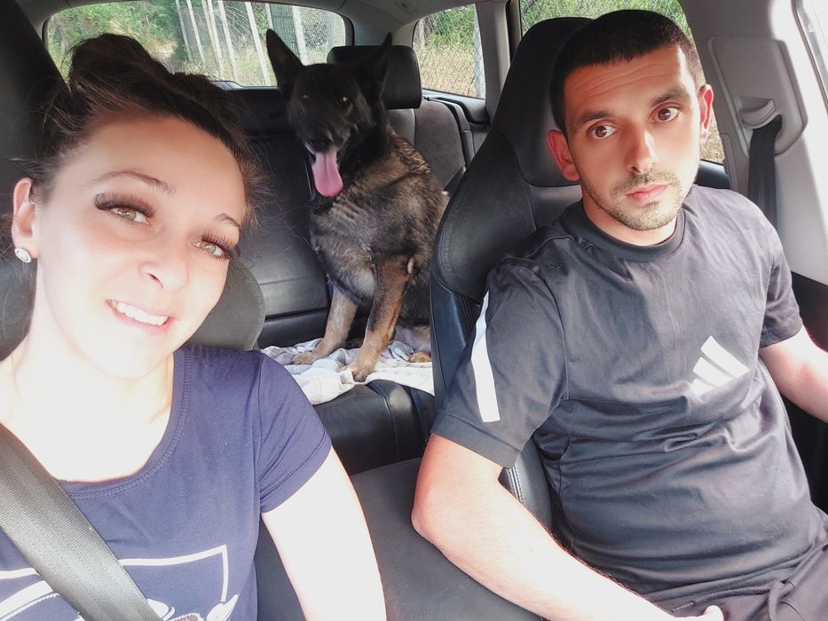 Гледане на домашни любимци