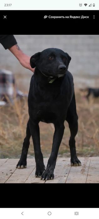 сТорожа, ОхраНики, ЗвоНочки .