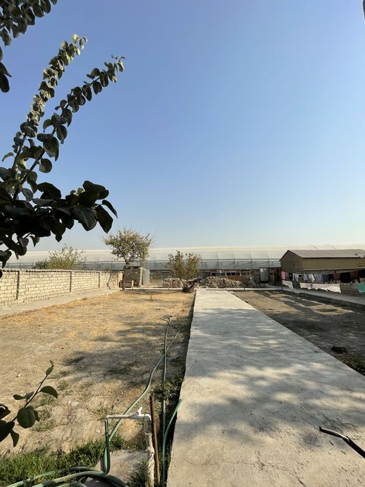 Yuqori Chirchiq tumani  Iyk ota da 8 sotix hovli sotiladi