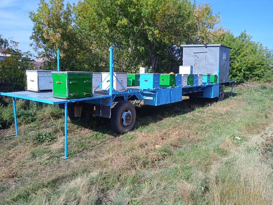 Продам прицеп пчеловодный