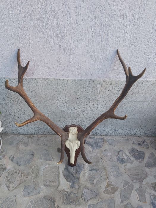 Vand obiecte vechi, de antichitate