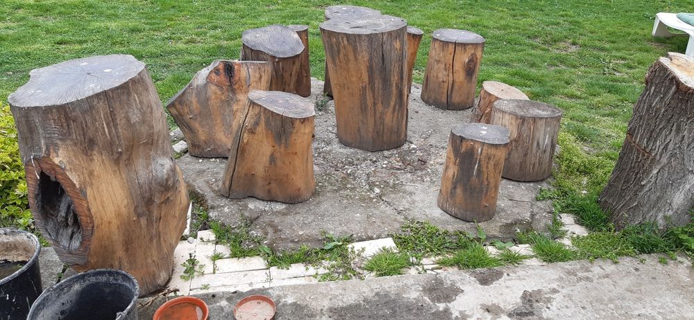 Trunchi (Butuci) din Nuc