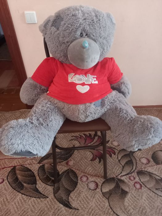 Katta ayiqcha yaxshi