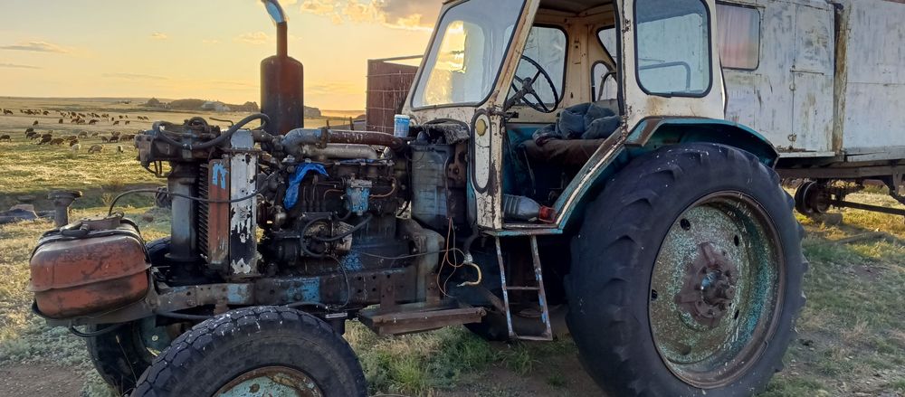 Два трактора Белорус МТЗ 80