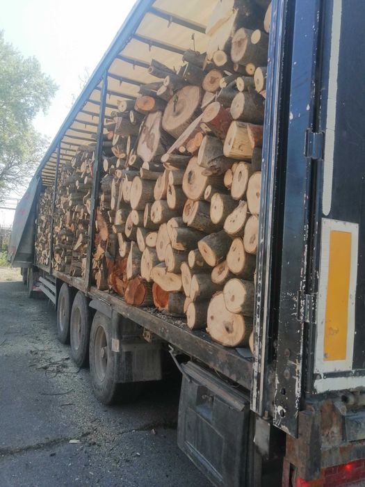 Дърва за огрев 100лв 088546/7557