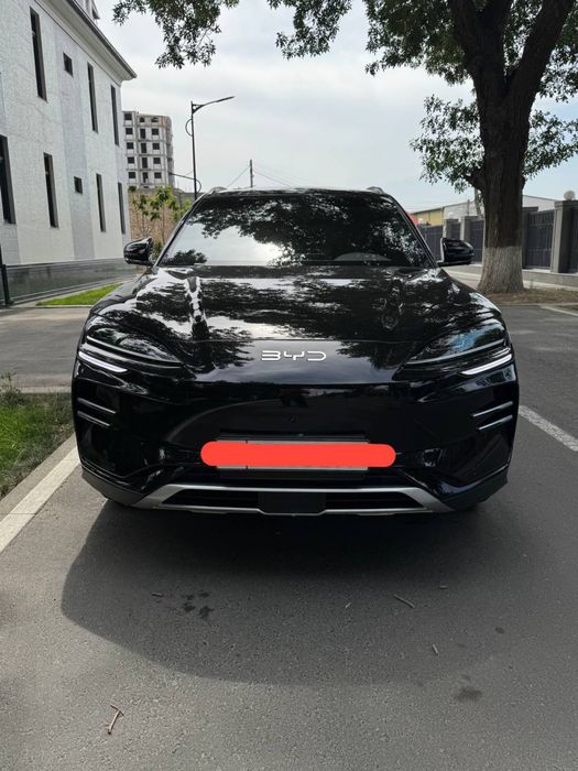 BYD SONG + Chempion