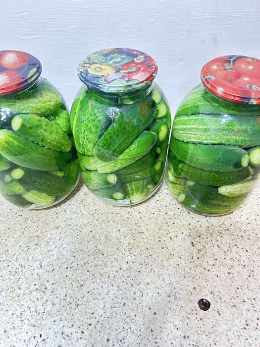 Заготовки соленья