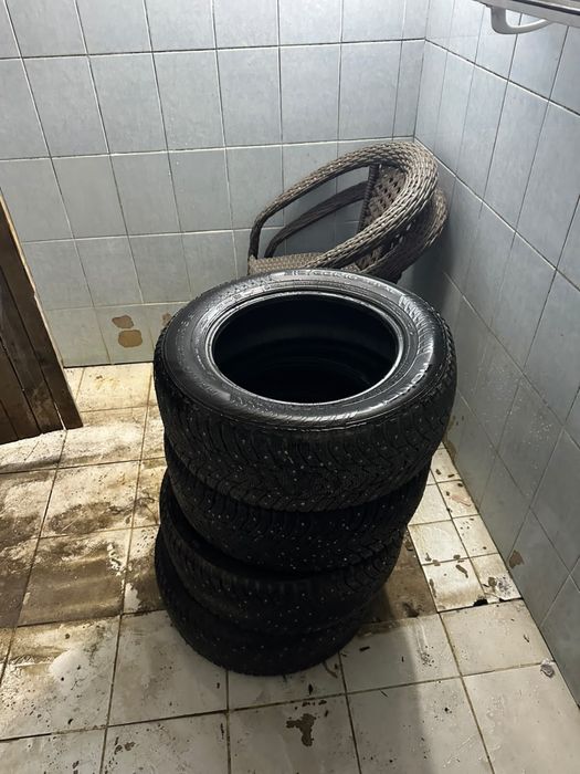 Шины зимние шипы