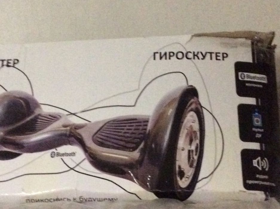 гироскутер, от 20-100кг