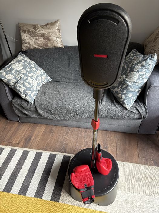 Детска боксова круша