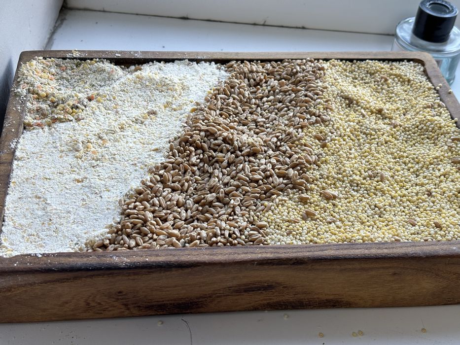 Продам свежее Боза