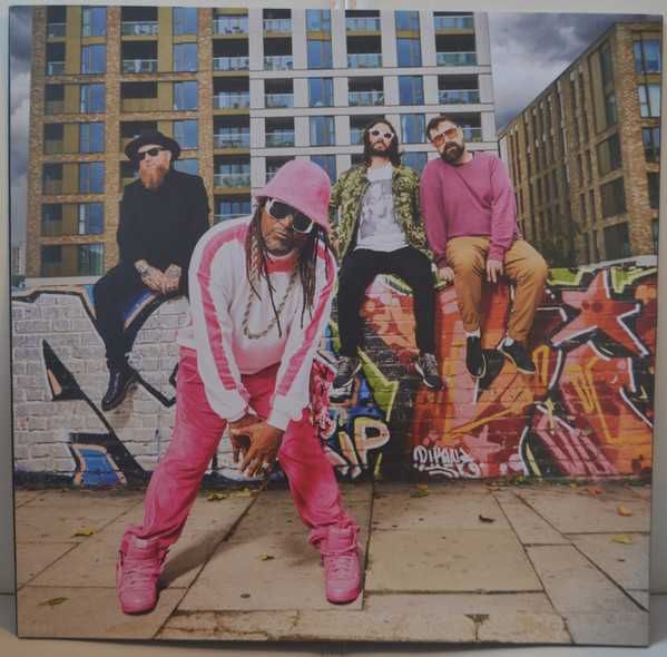 Виниловая пластинка Skindred