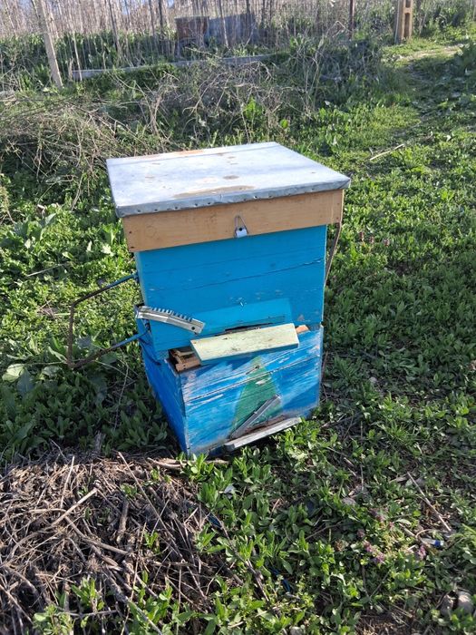 Lăzi cu magazii, de 12 rame. Folosite  2 ani.