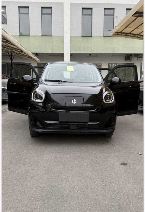 leapmotor t03 oz nomizga