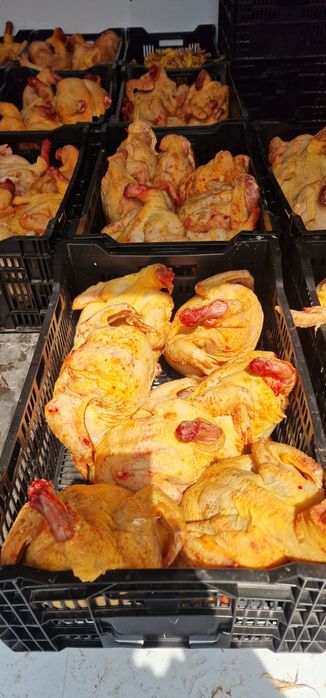 Мясо курицы, бройлеры