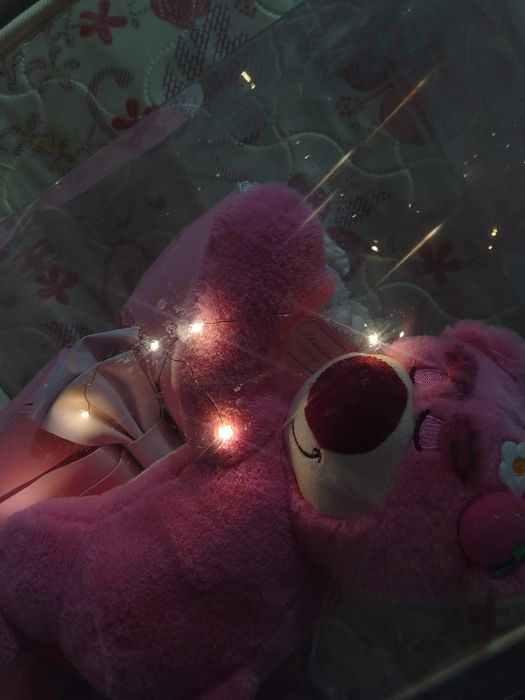 Подарочный набор: Медведь Лотсо, Букет роз и Гирлянда