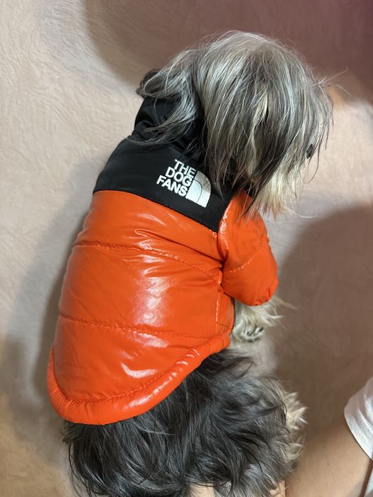 Одежда для сабак