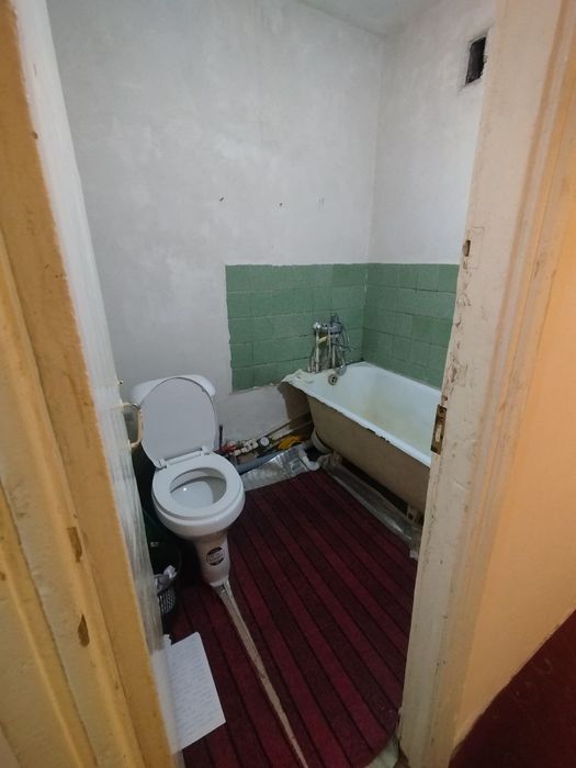 Mirzo gamburg orqasinda