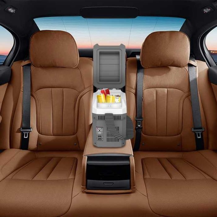 Електрическа хладилна кутия 8L за автомобил, каравна, кемпер, 12V 220V