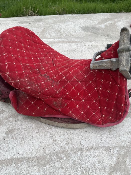 Ер тоқым сатылады