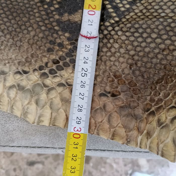 Огромна кожа от питон