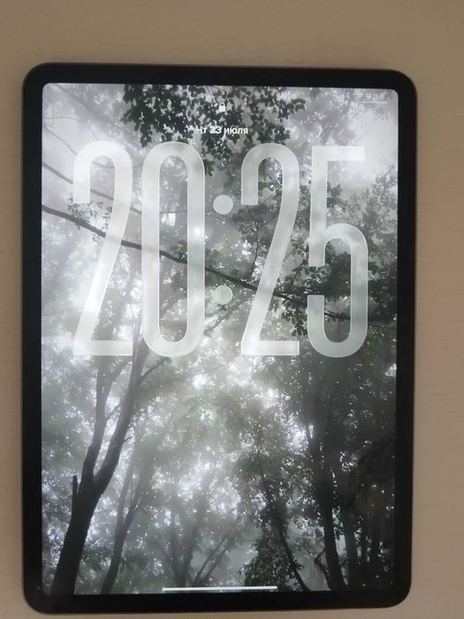 Ipad pro 11 M2 4 поколения