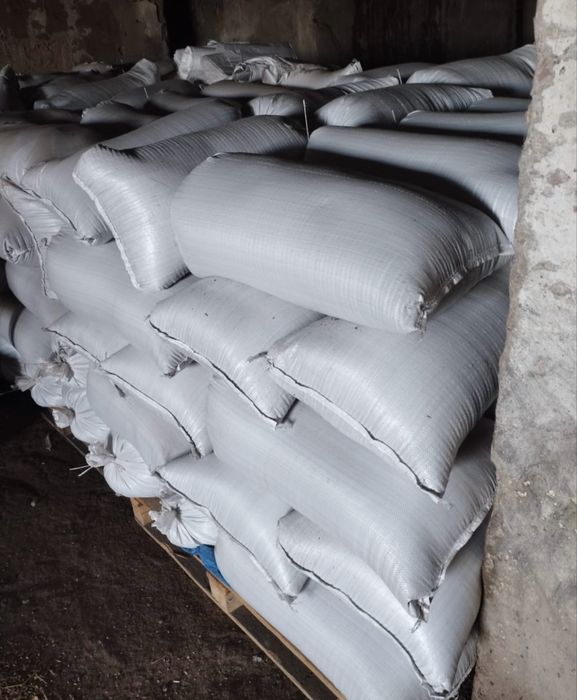 Семена суданской травы