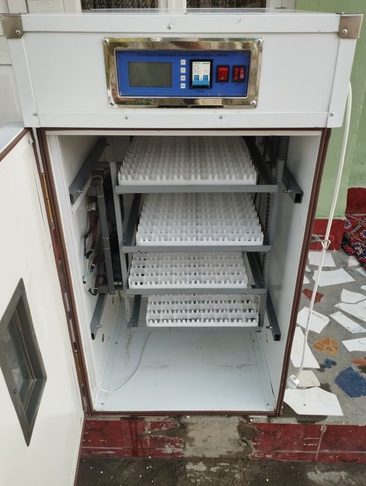 Inkubator. Инкубатор