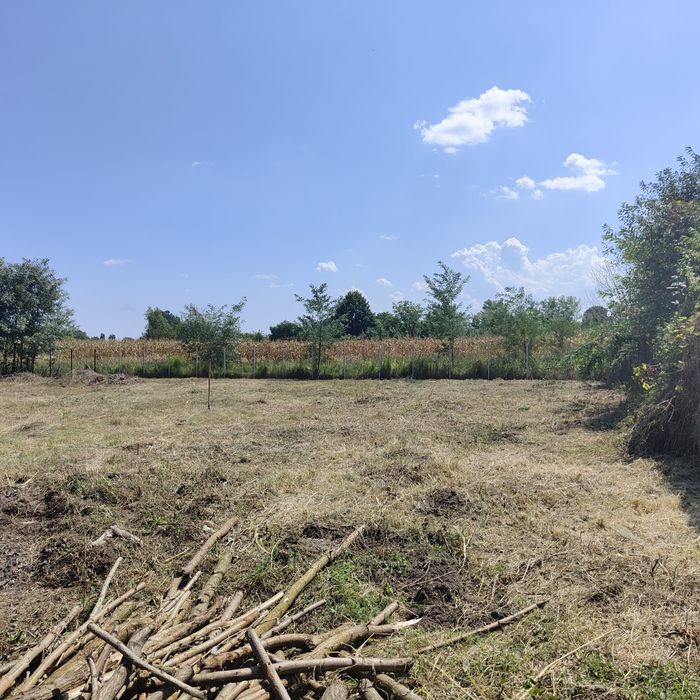 Defrișări toaletări