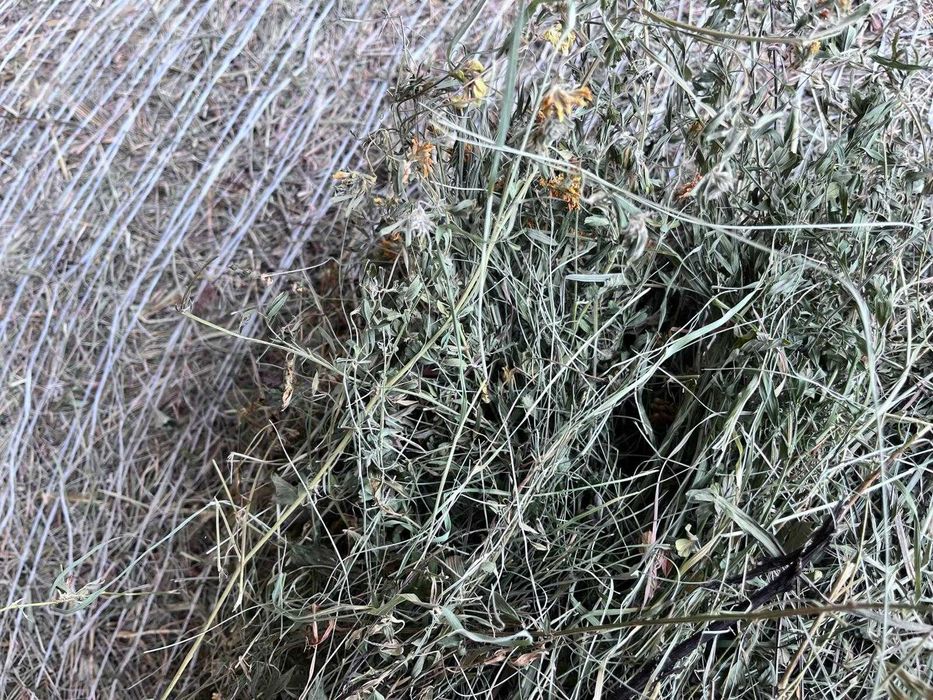 Baloți rotunzi de fân 140x120