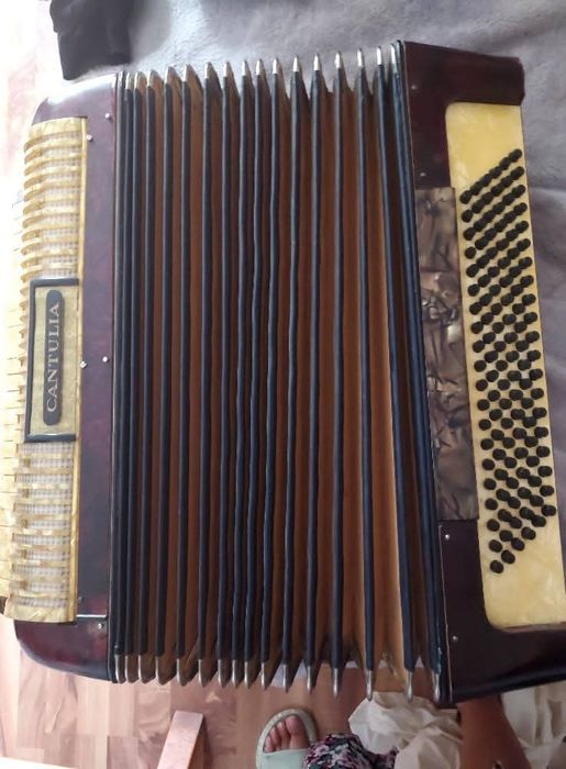 Acordeon Cantulia