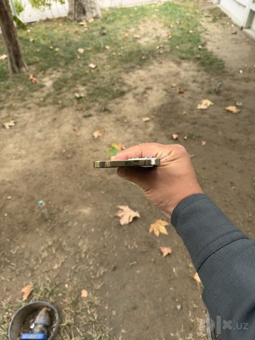iphone 12 pro max gold
