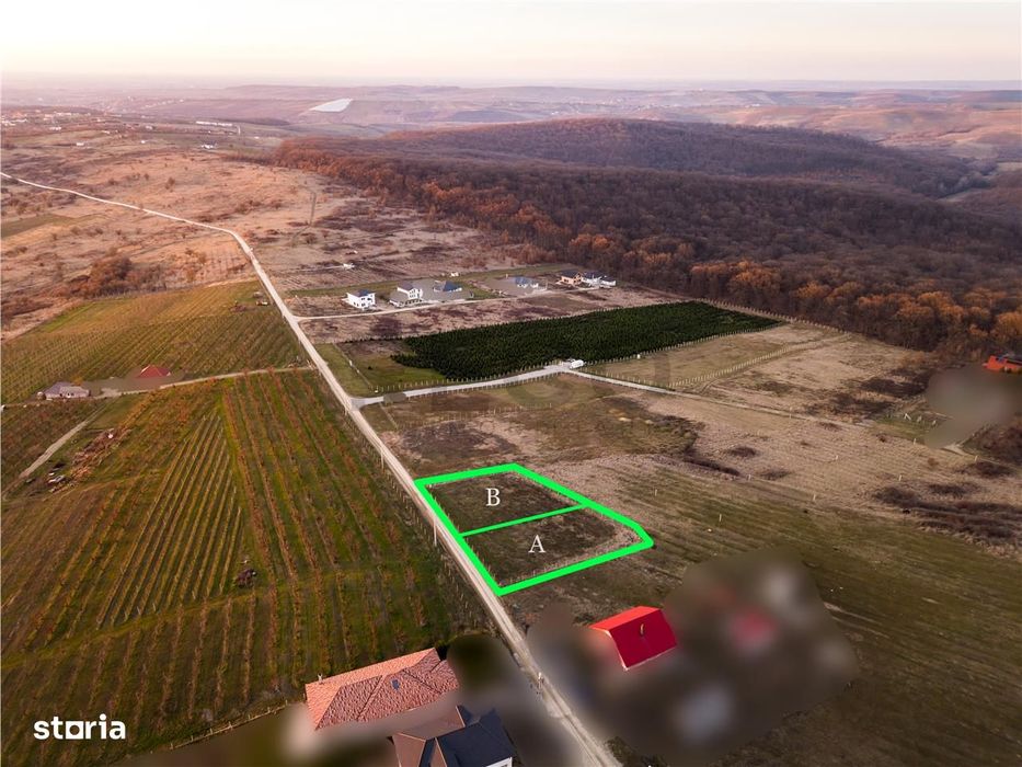 RECO Teren intravilan in Saldabagiu de Munte