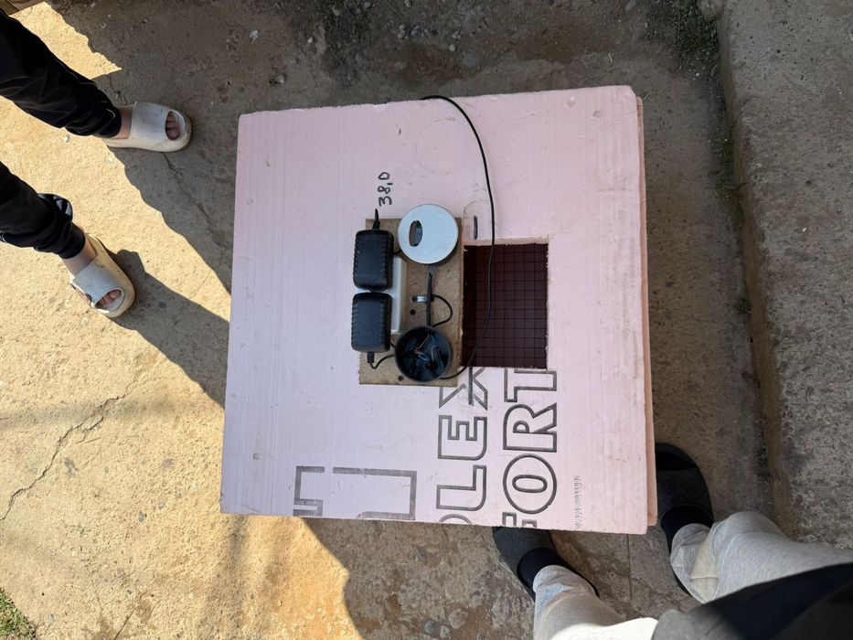 Инкубатор для яиц