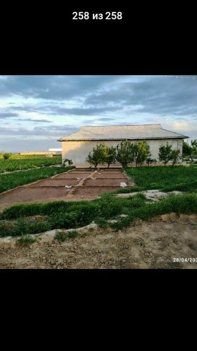 uy joy sotiladi 50 sotix 320 000$ kelishamjz