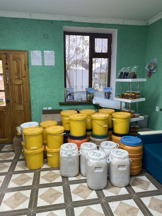 Натуральный мёд Оптом Табиғи бал