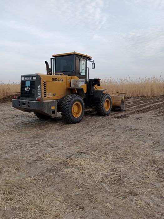 Аренда Пагрушик Часовой