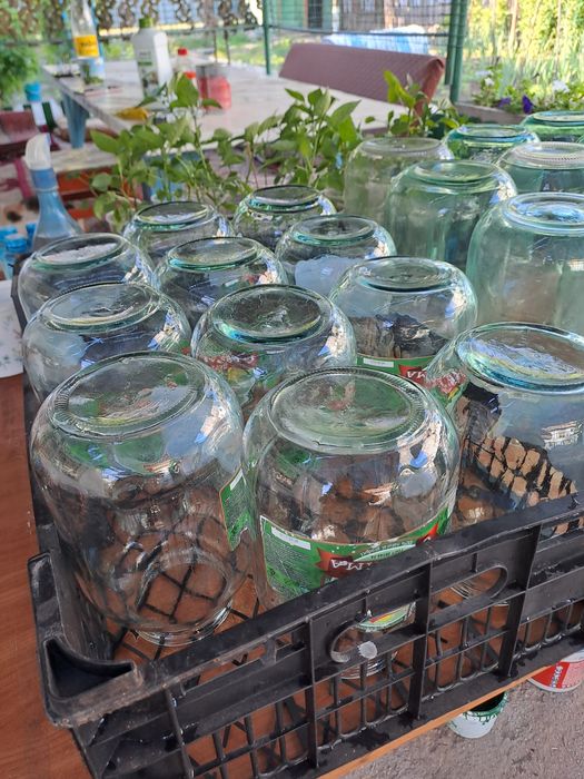 Продам банки 2х, 3х литр.