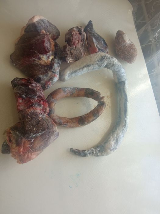 Продам қазы, шұжық