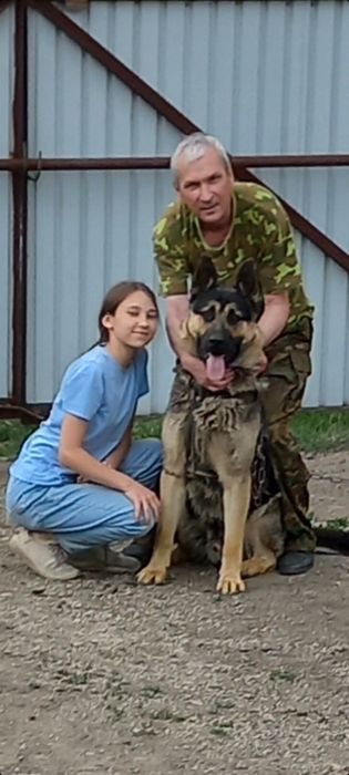 Щенки Восточно европейской овчарки