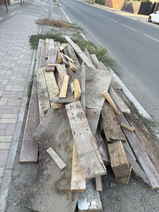 Отынга агаш тегин