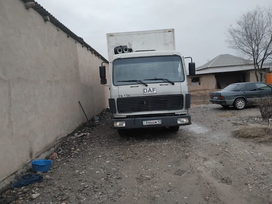 Одиночка даф сатамын